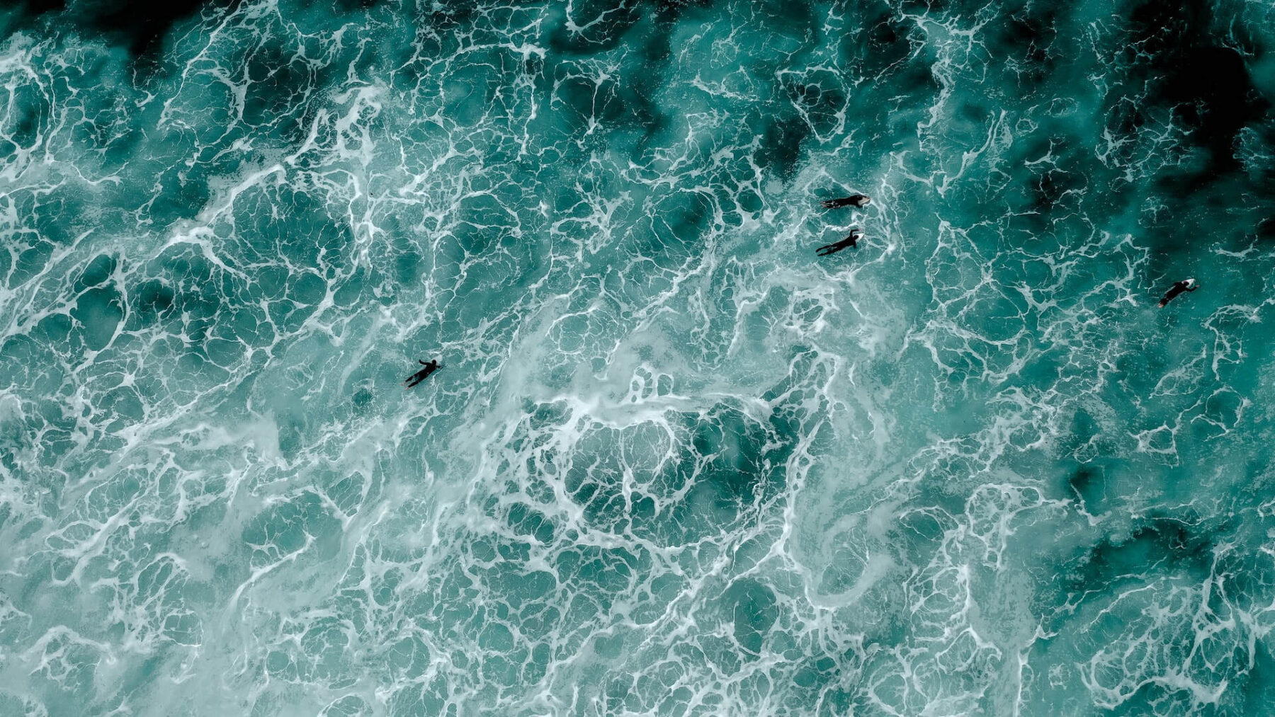 A group of people swimming in the ocean.
