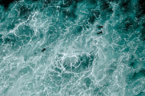 A group of people swimming in the ocean.