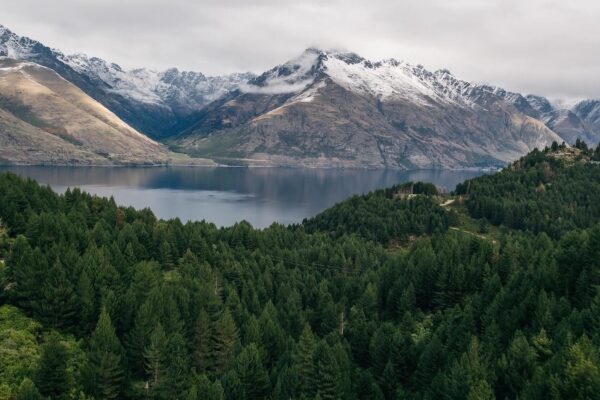 A view of the mountains and trees from above.